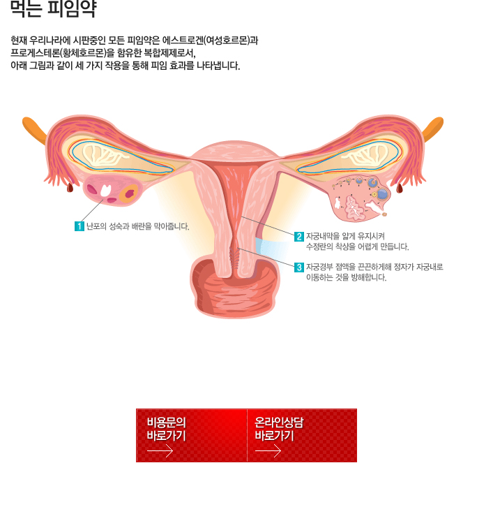 표 별도 첨부