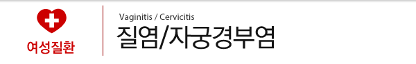 질염/자궁경부염